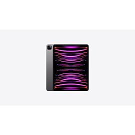 Ipad pro
